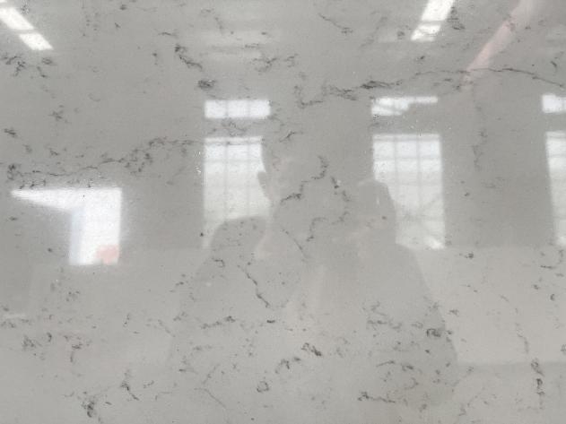 Cararra Color Quartz Slab2